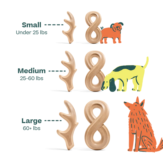 Woof HonestChew Antler