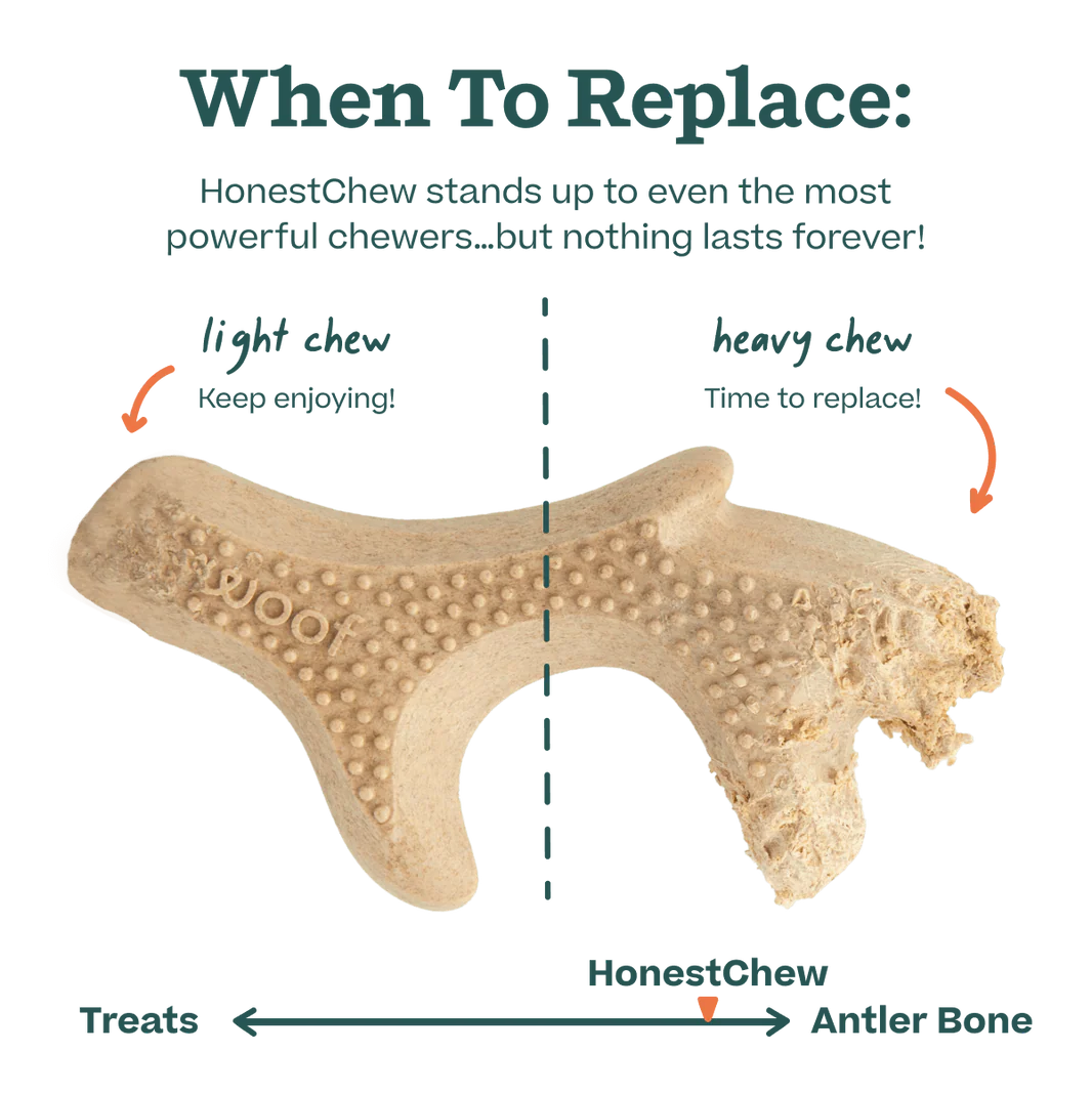 Woof HonestChew Antler