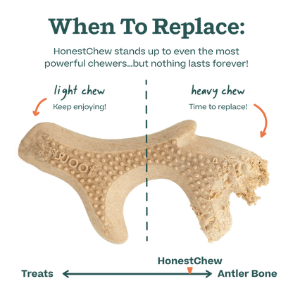 Woof HonestChew Antler