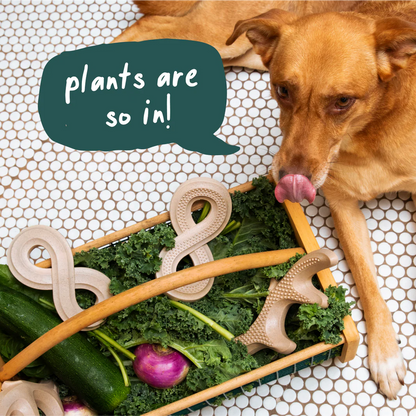 Woof HonestChew Antler