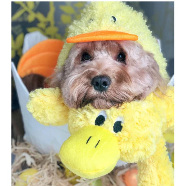 Platypus SNUGGLER 15in