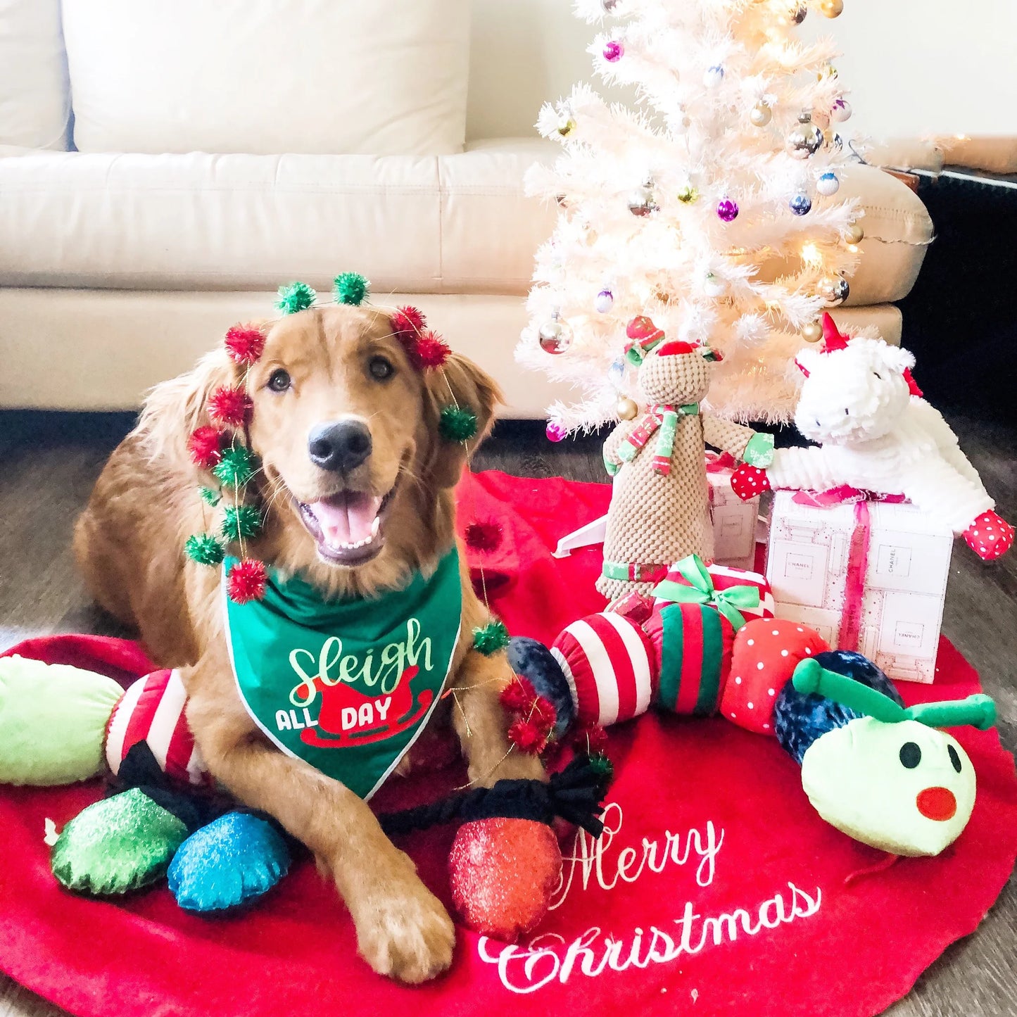 Holiday Ornament Caterpillar 43in