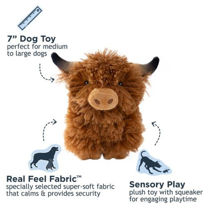 Highland Cow | Tall Tails