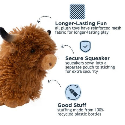 Highland Cow | Tall Tails