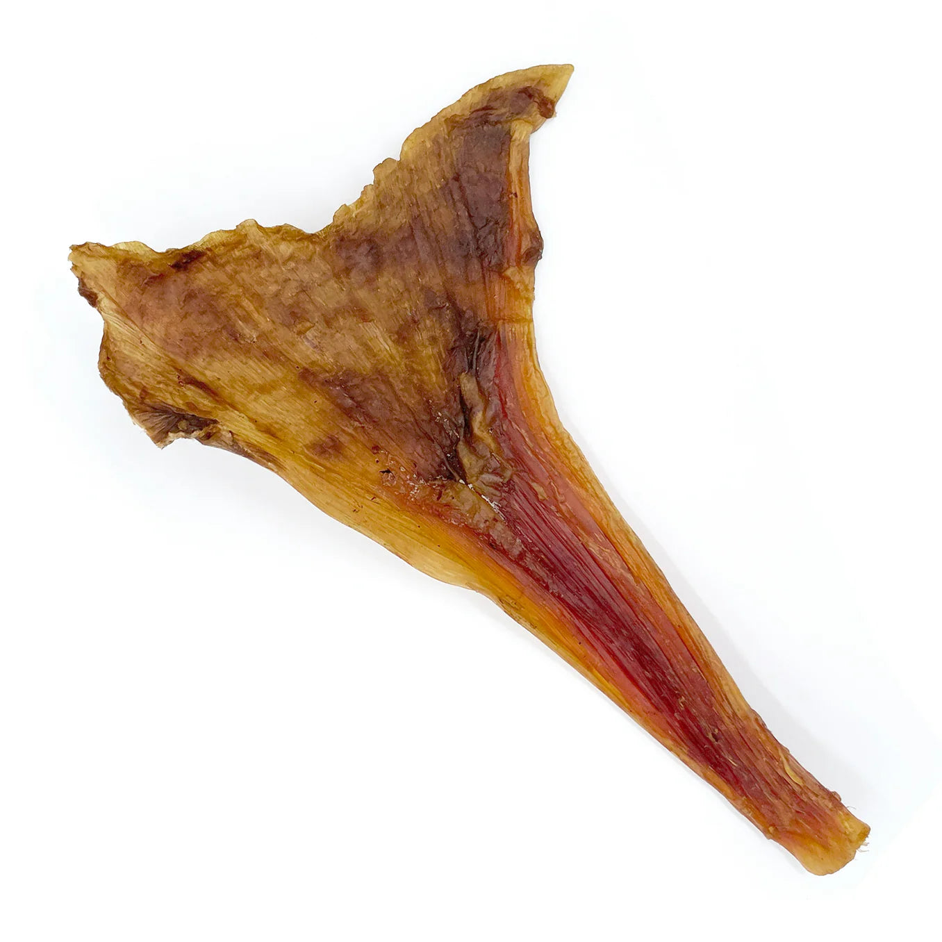 Tuesday’s Ostrich Long Tendons