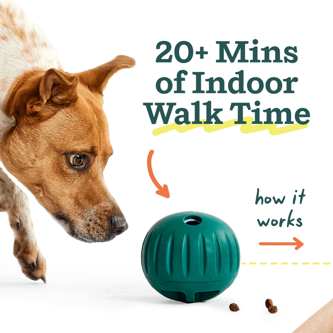 Walkabout | Woof