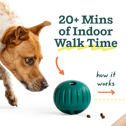 Walkabout | Woof