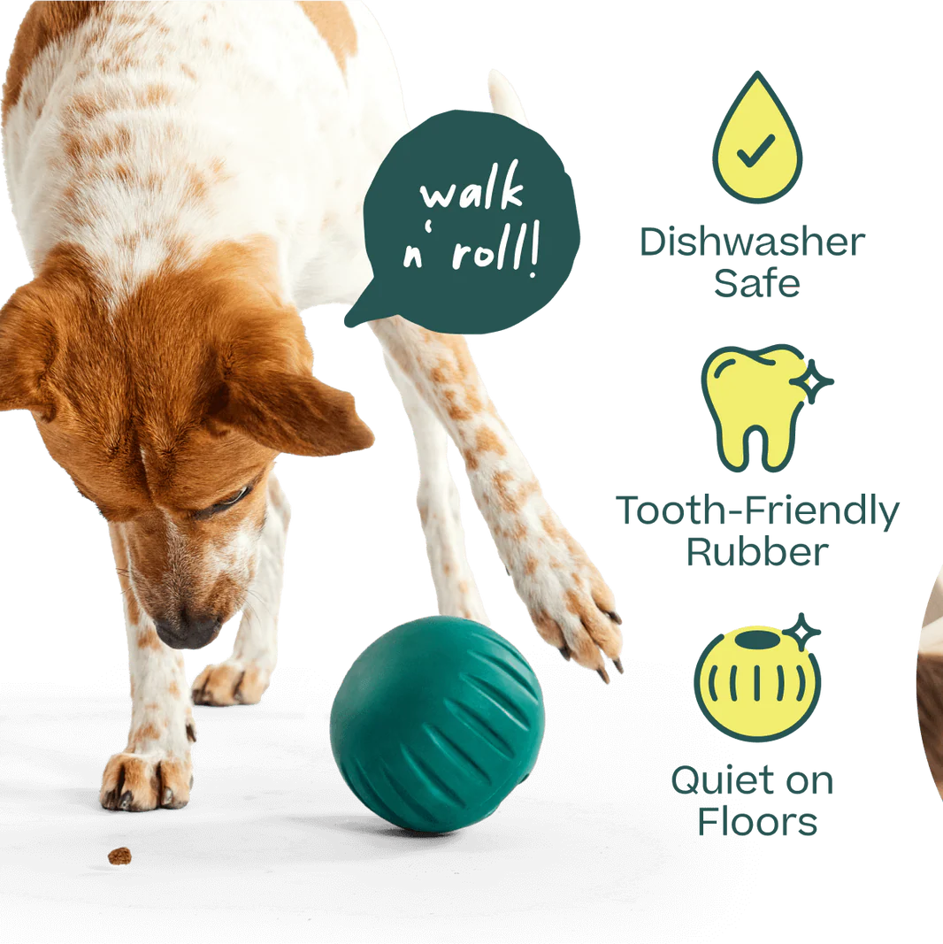 Walkabout | Woof