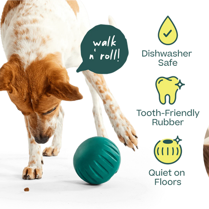Walkabout | Woof