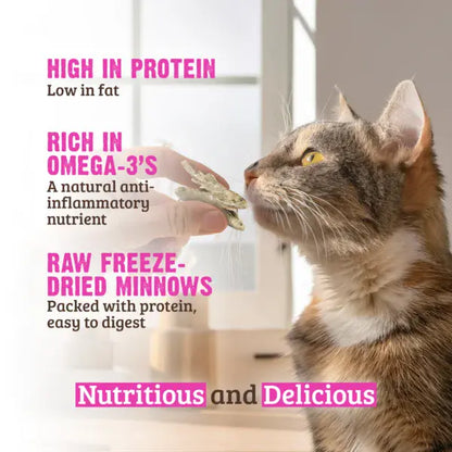 Freeze-Dried Minnows Crunchy Cat Treats 1oz | Rawz