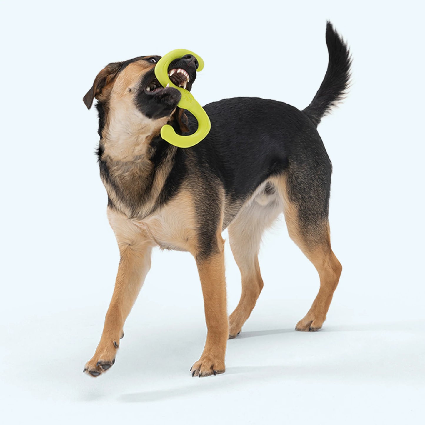 Bumi Dog Toy Orange| West Paw