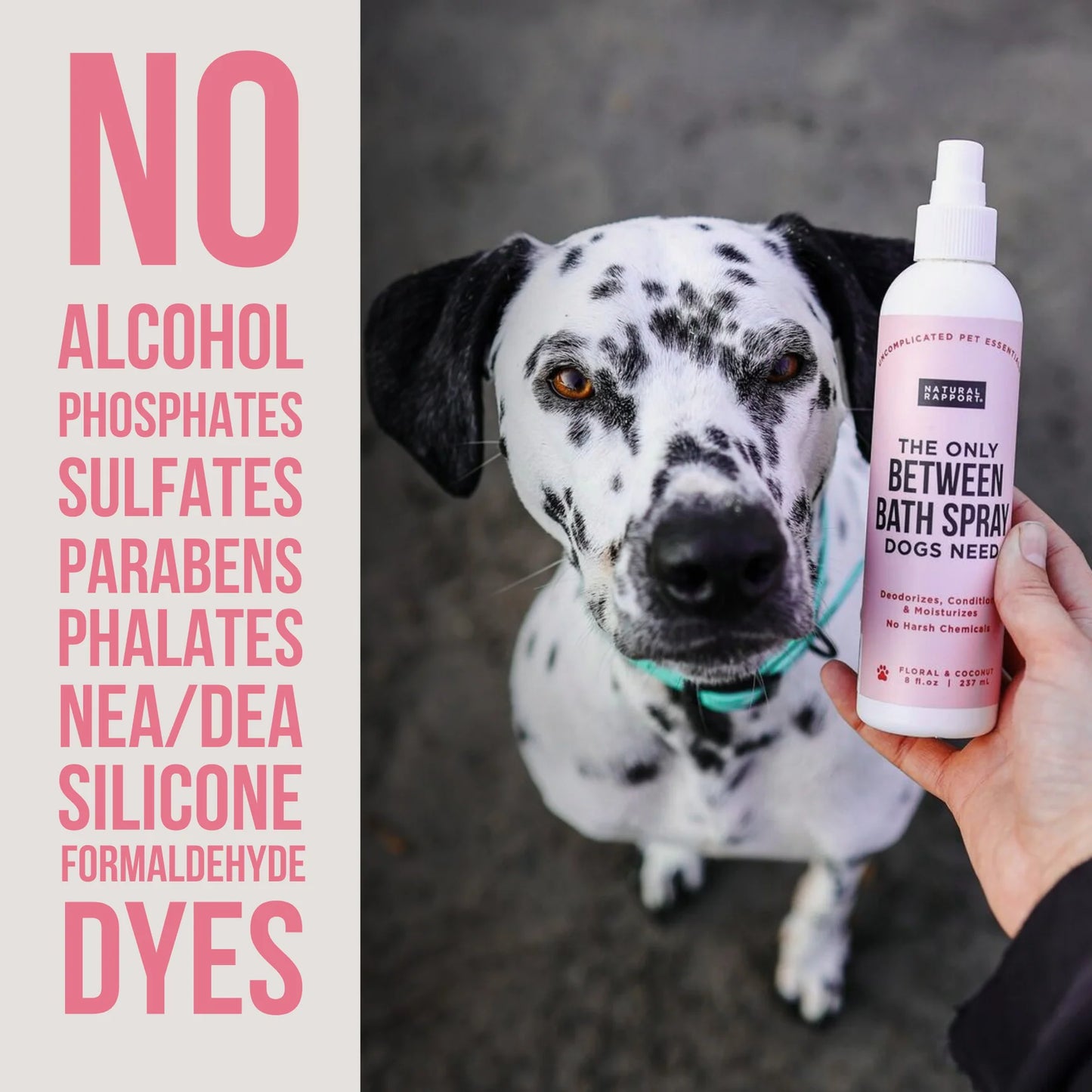 The Only Between Bath Spray Dogs Need | Natural Support