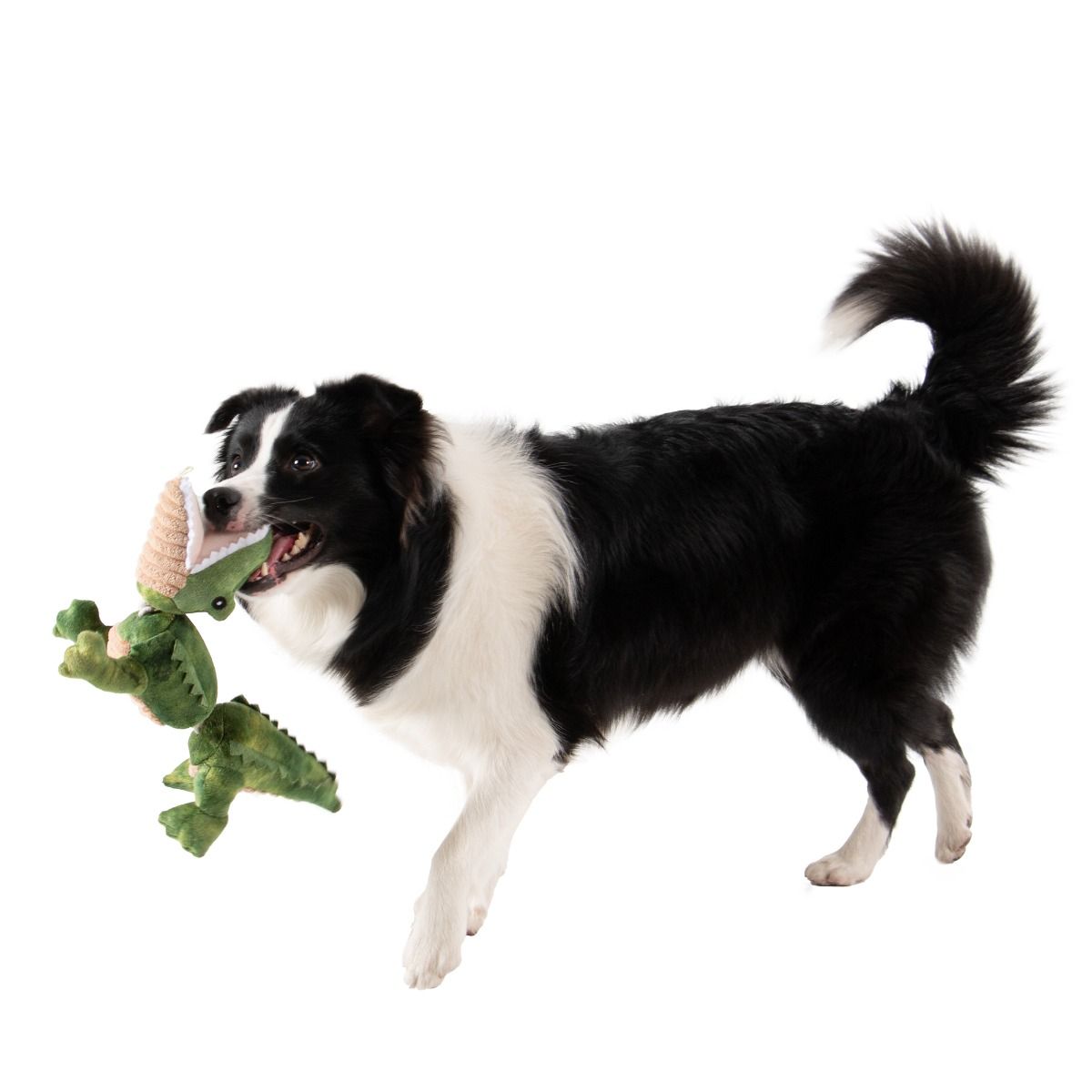 Jointed Alligator Shake Play Dog Toy | Tall Tails