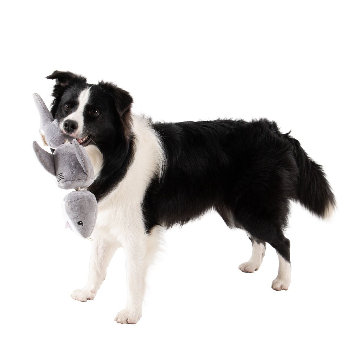 Jointed Shark Shake Play Dog Toy | Tall Tails