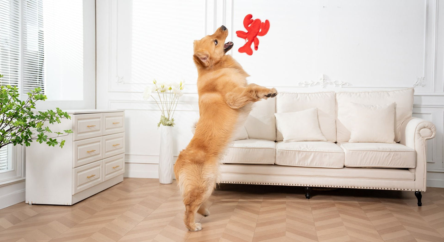Lobster Durable Plush Dog Toy | Original Territory