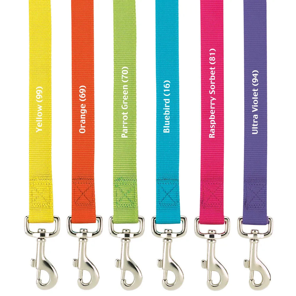 Casual Canine Nylon Leash