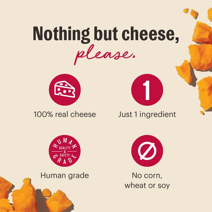Crunchy Cheese Bites 2oz | The Honest Chicken