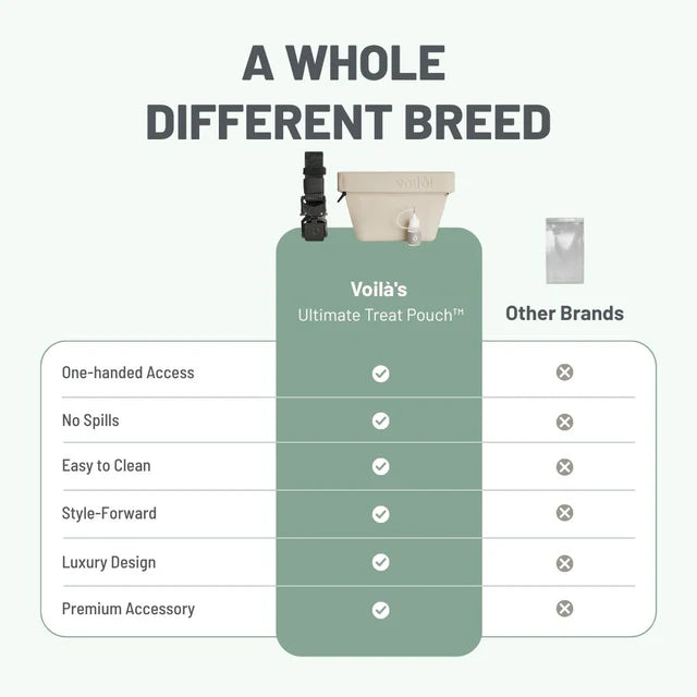 The Mini - Ultimate Treat Pouch | Voila