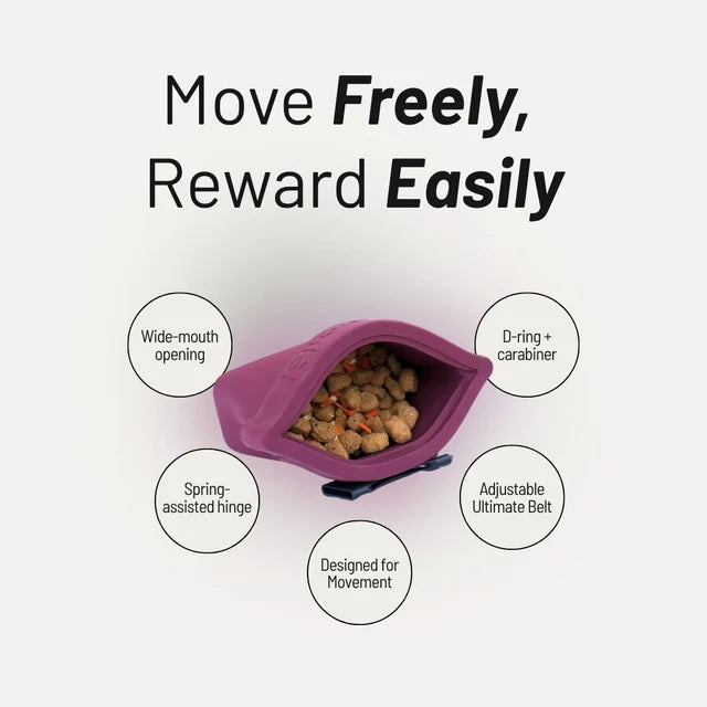 The Mini - Ultimate Treat Pouch | Voila