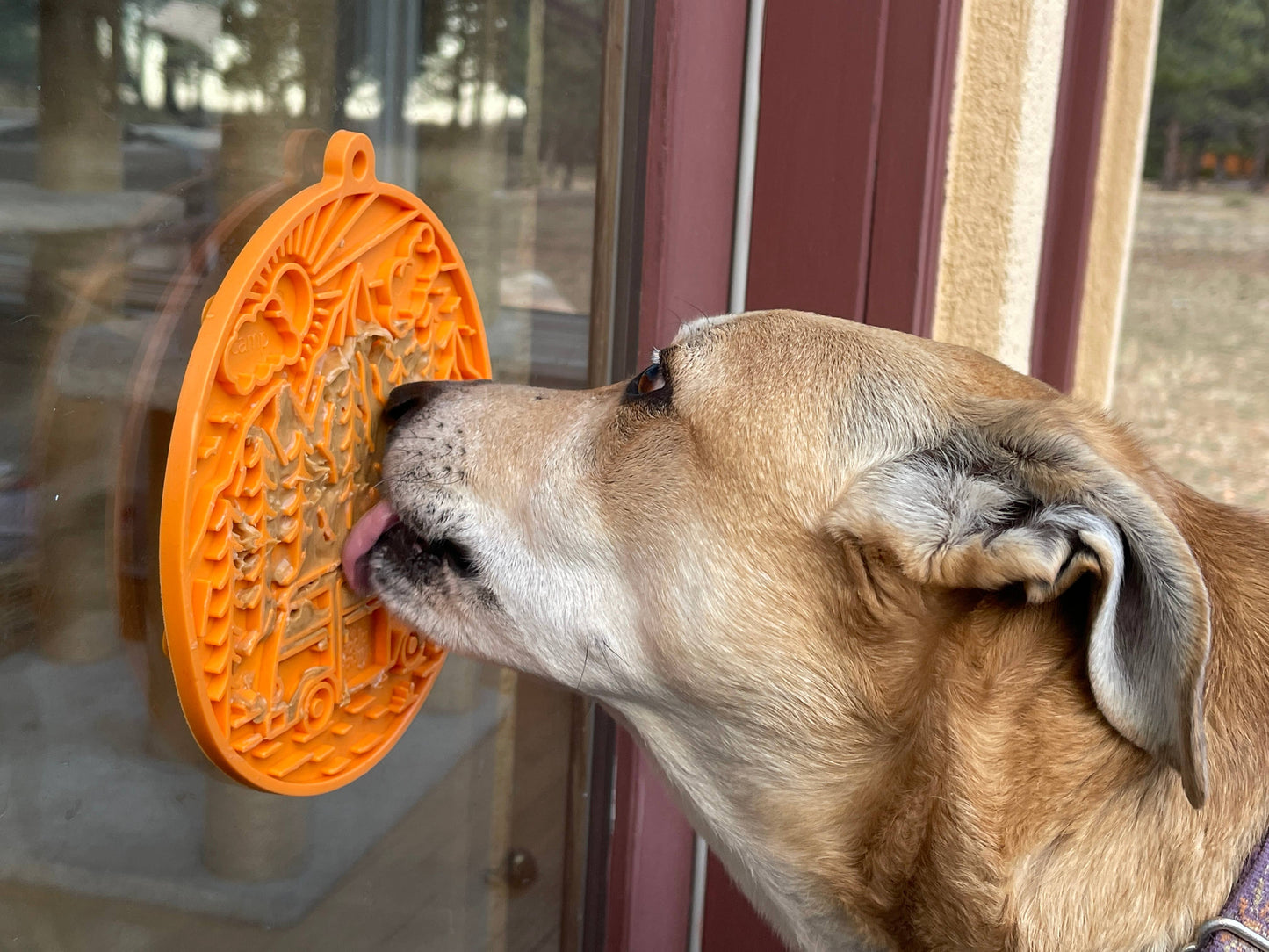 Camp eMat Enrichment Lick Mat With Suction Cups: Orange