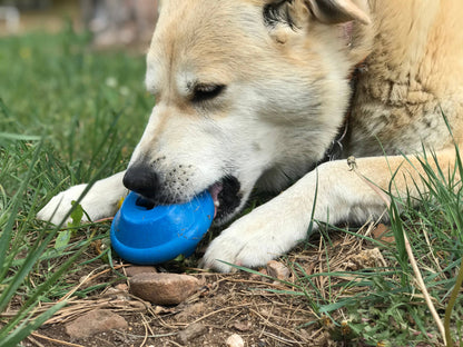 Spotnik Flying Saucer -Chew Toy-Treat Dispenser-Blue: Medium