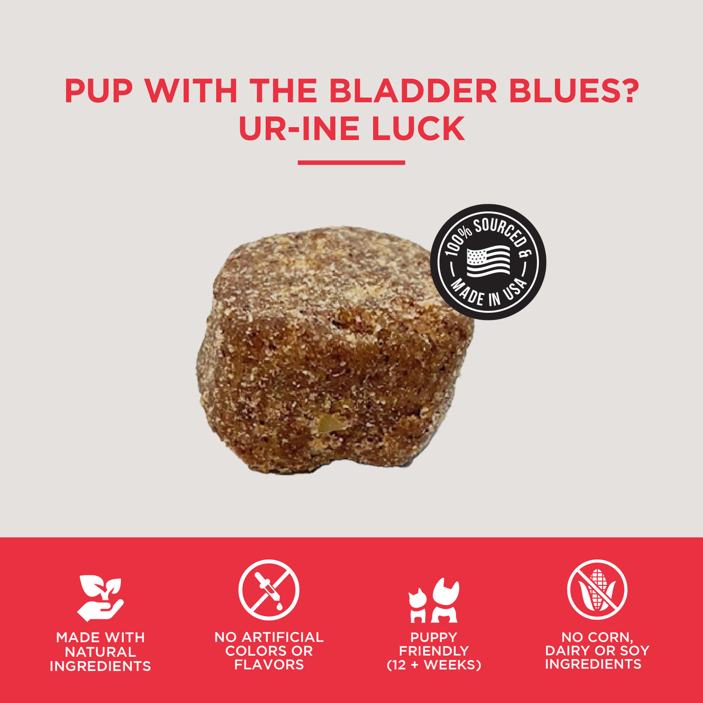 The Only Bladder Support Soft Chews Dogs Need: 120 count jar