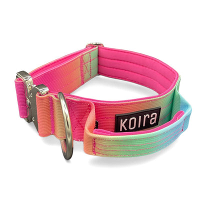 2 inch Tactical Dog Collar Pastel Rainbow Gradient : Medium