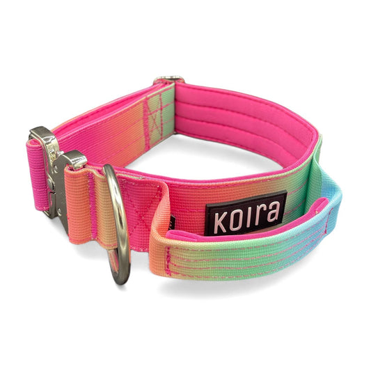 2 inch Tactical Dog Collar Pastel Rainbow Gradient : Medium