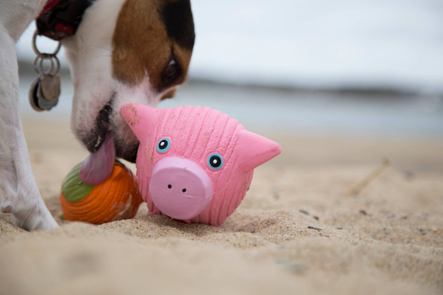 Hamlet Pig Ruff-Tex® Ball Dog Toy: Large