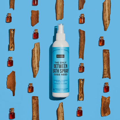 The Only Between Bath Spray Dogs Need - Amber & Sandalwood: 8 ounce
