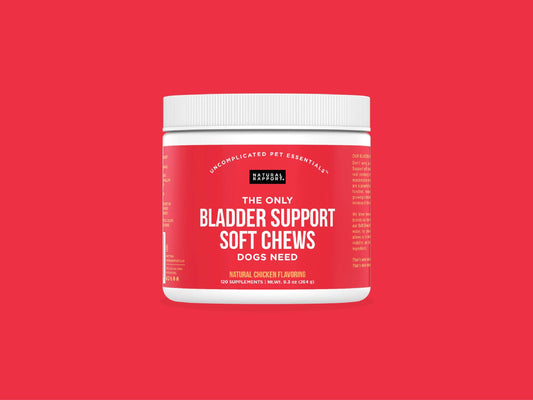 The Only Bladder Support Soft Chews Dogs Need: 120 count jar