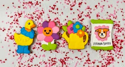 Colorburst Spring Bloom Collection: Neon Frog Cookie
