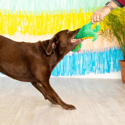 Thorny But Cute Dino Plush Dog Toy | PetShop by Fringe Studio