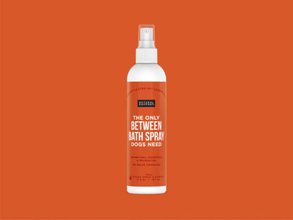 The Only Between Bath Spray Dogs Need - Apple & Pumpkin: 3 ounce