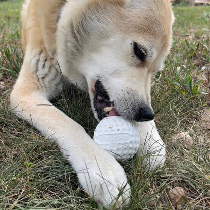 Golf Ball Rubber Treat Dispenser & Enrichment Toy