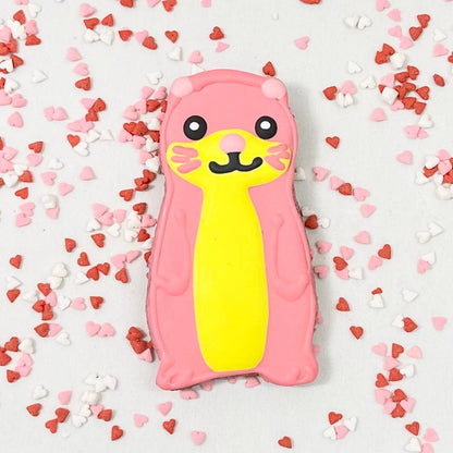 Colorburst Spring Bloom Collection: Neon Frog Cookie