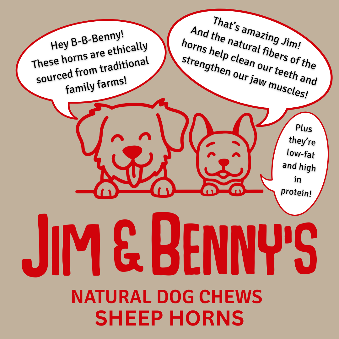 Sheep Horn Chews for Dogs: Large