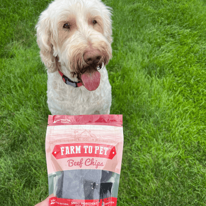 Beef Chips Dog Treats: Value 12oz
