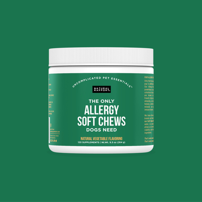 The Only Allergy Soft Chews Dogs Needs: 120 count jar