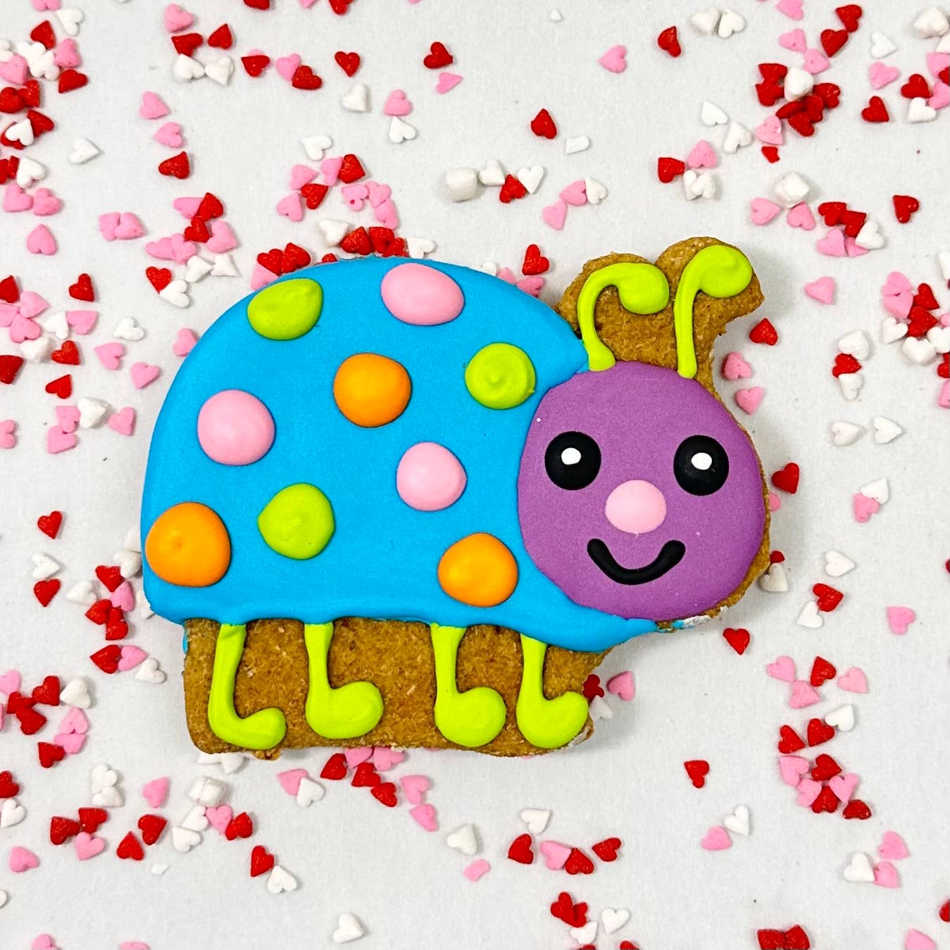 Colorburst Spring Bloom Collection: Neon Frog Cookie