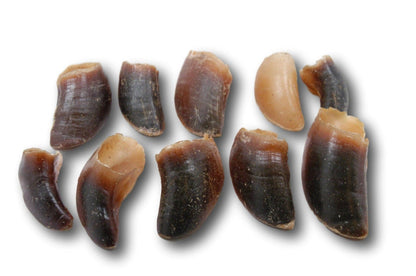 Bovine Hooves (BV0101N): Case of 50
