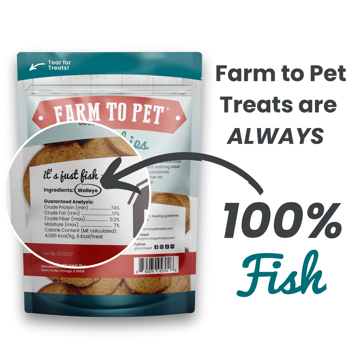 Fish Chips Dog Treats: Value 12oz