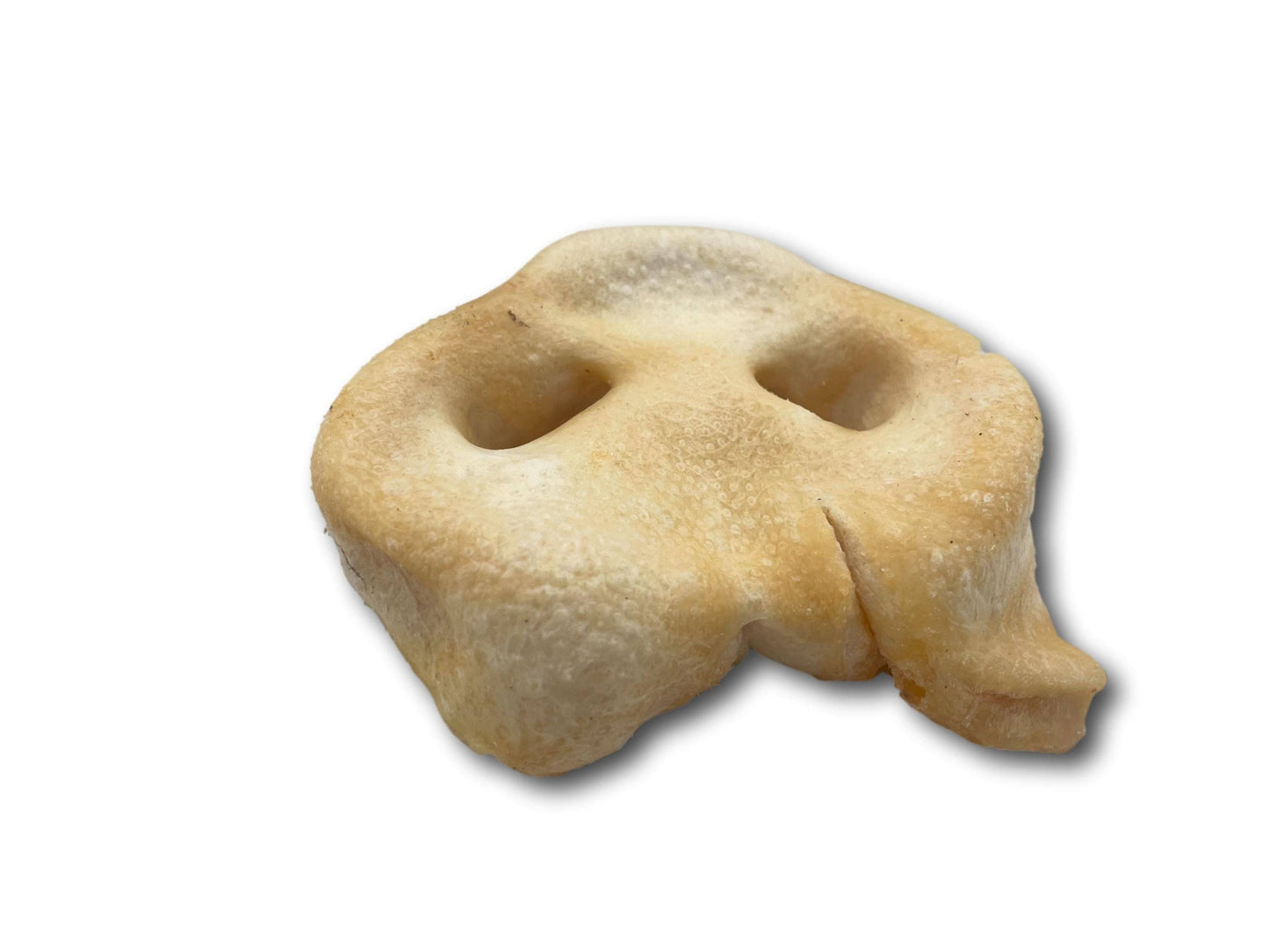 Pig Snout (PE0101SN): Unit