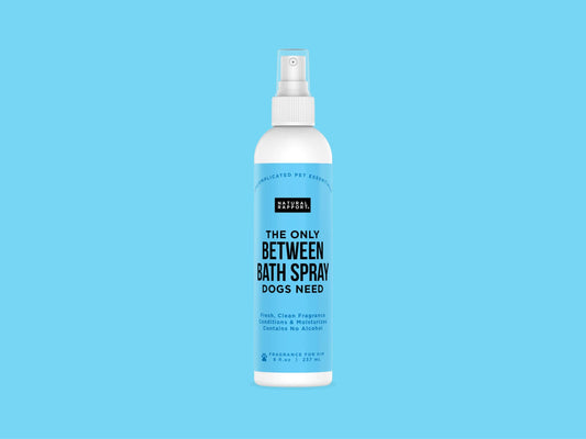 The Only Between Bath Spray Dogs Need - Amber & Sandalwood: 8 ounce