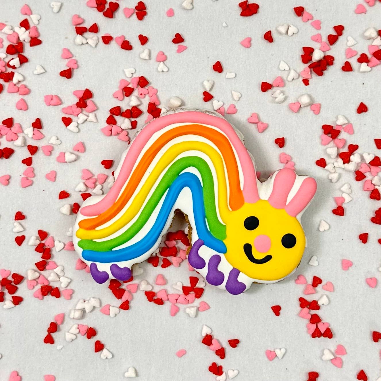 Colorburst Spring Bloom Collection: Neon Frog Cookie