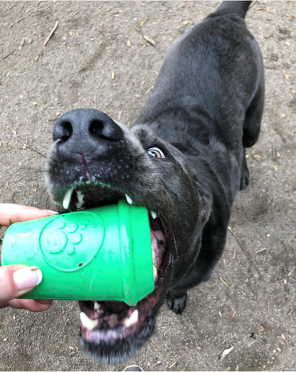 SP Coffee Cup Durable Rubber Chew Toy and Treat Dispenser: Medium Green Coffee Cup