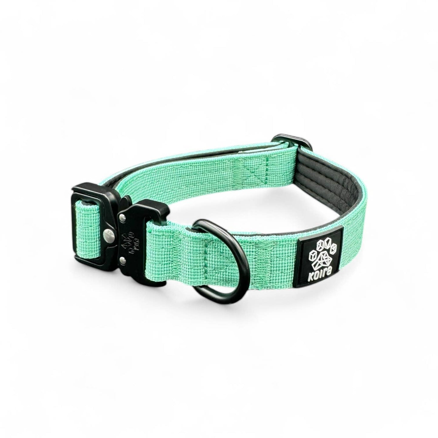 Durable Mint Nylon Dog Collar with Metal Buckle: Small: 1" x 11"–16"
