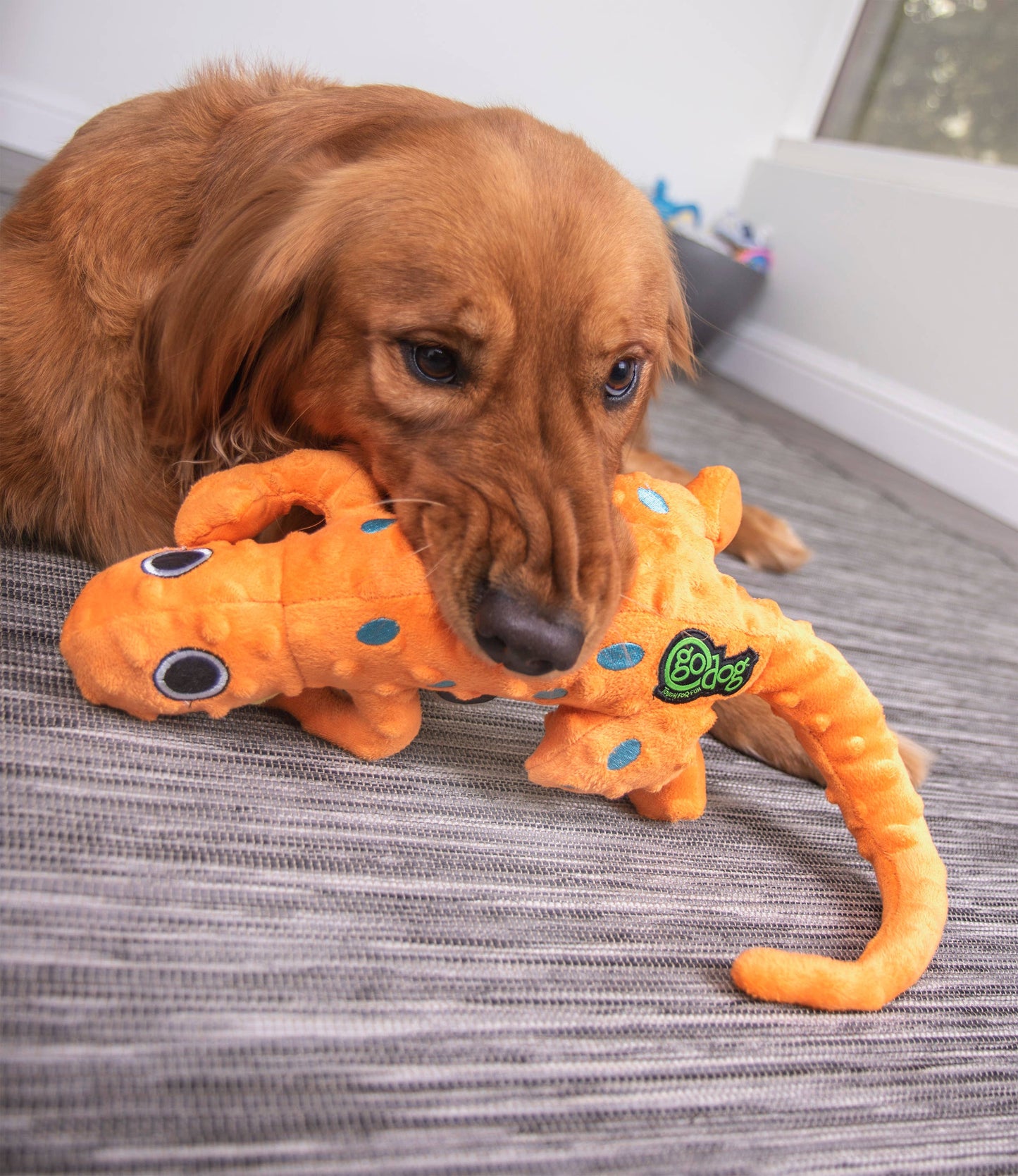 Amphibianz Gecko Squeaky Plush Dog Toy Large | GoDog