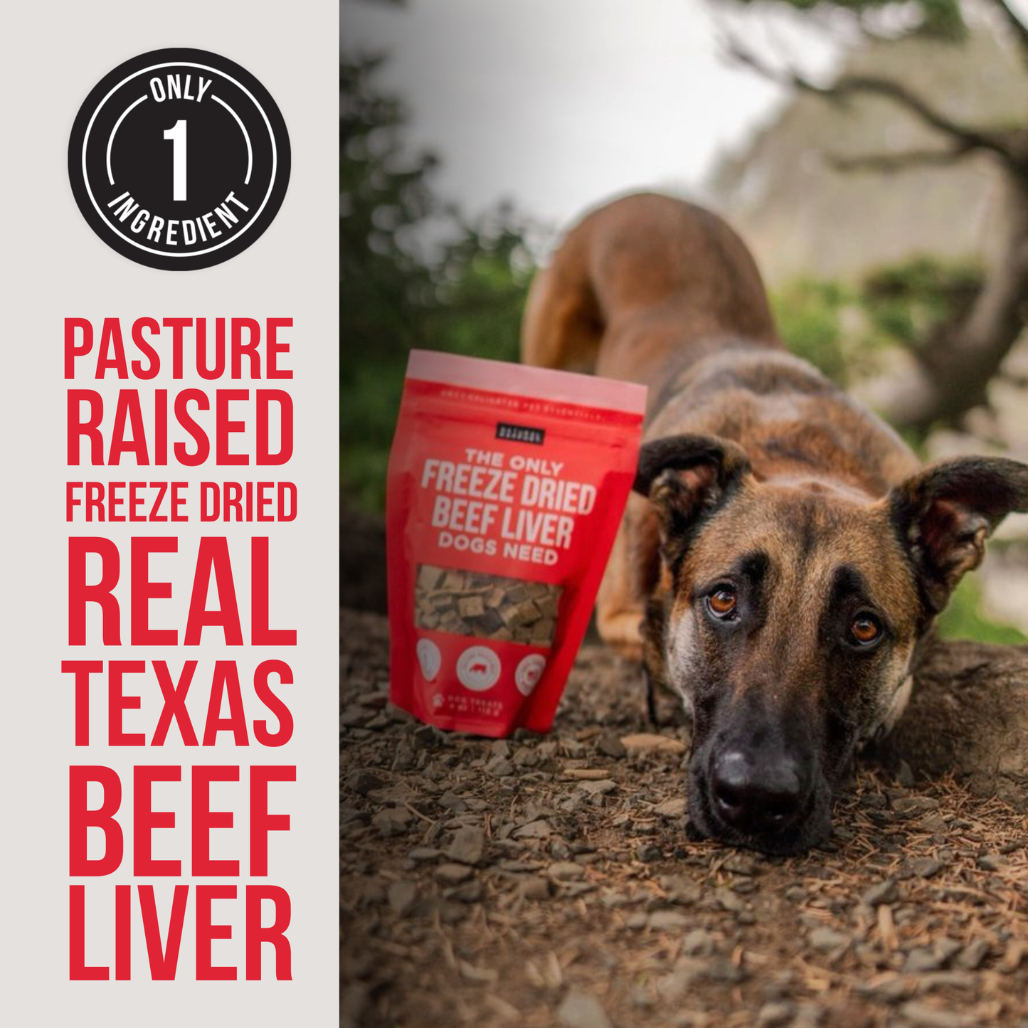 The Only Freeze Dried Beef Liver Dogs Need: 4 oz bag