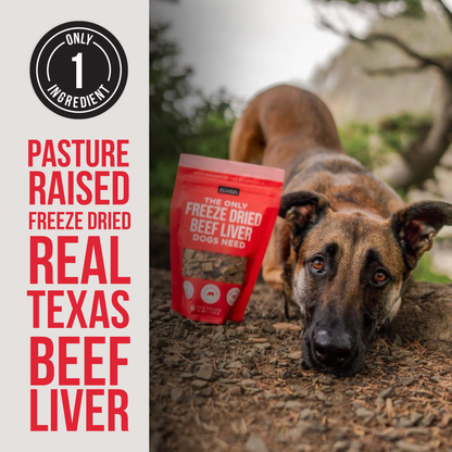 The Only Freeze Dried Beef Liver Dogs Need: 4 oz bag
